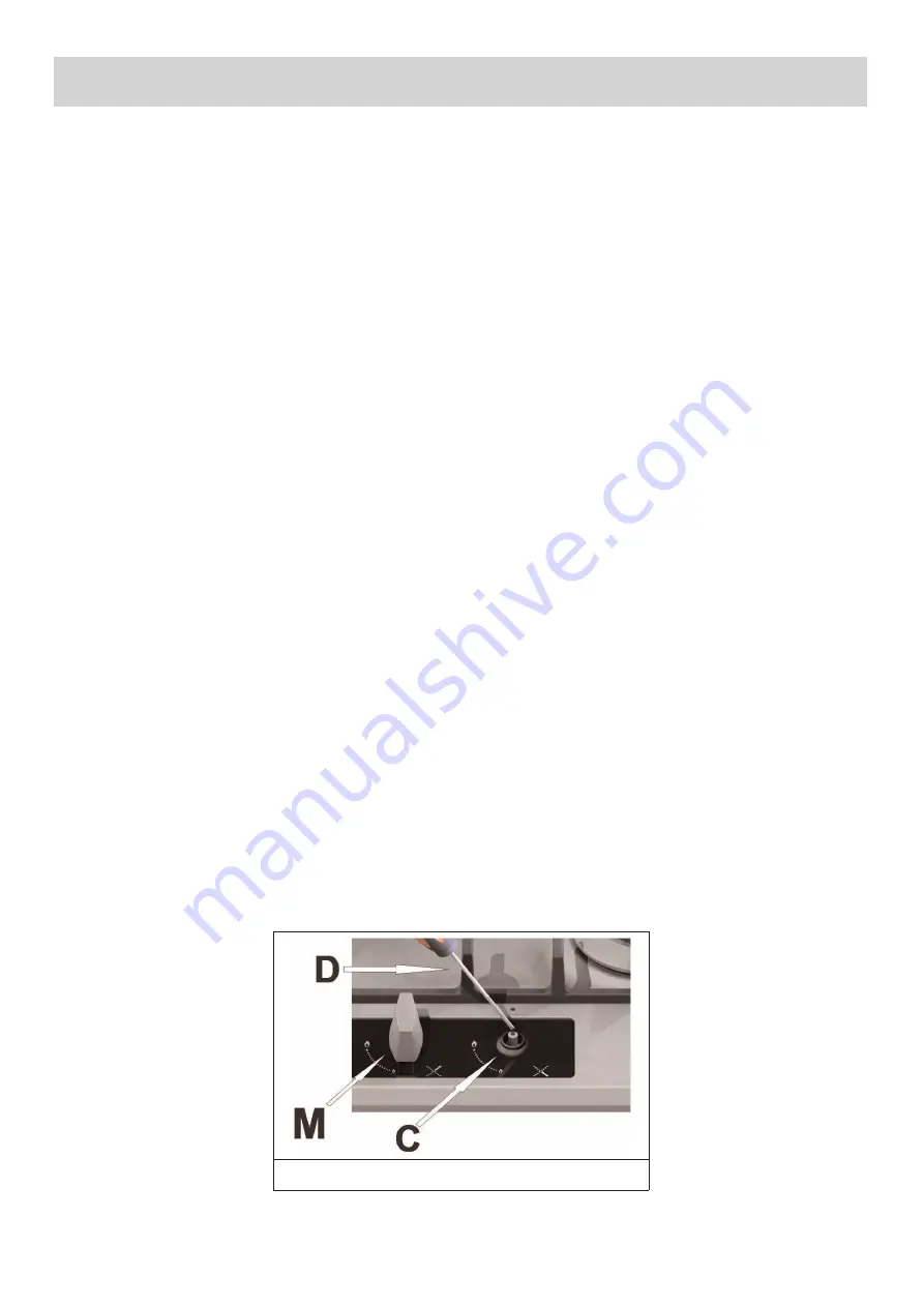 Gorenje 235491 Instruction Manual Download Page 10