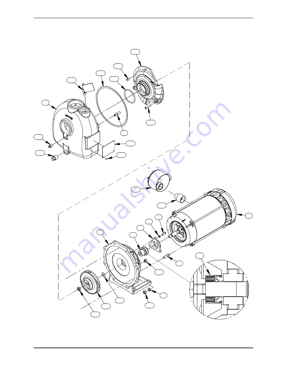 GORMAN-RUPP PUMPS 02K11-X2 1P Скачать руководство пользователя страница 20