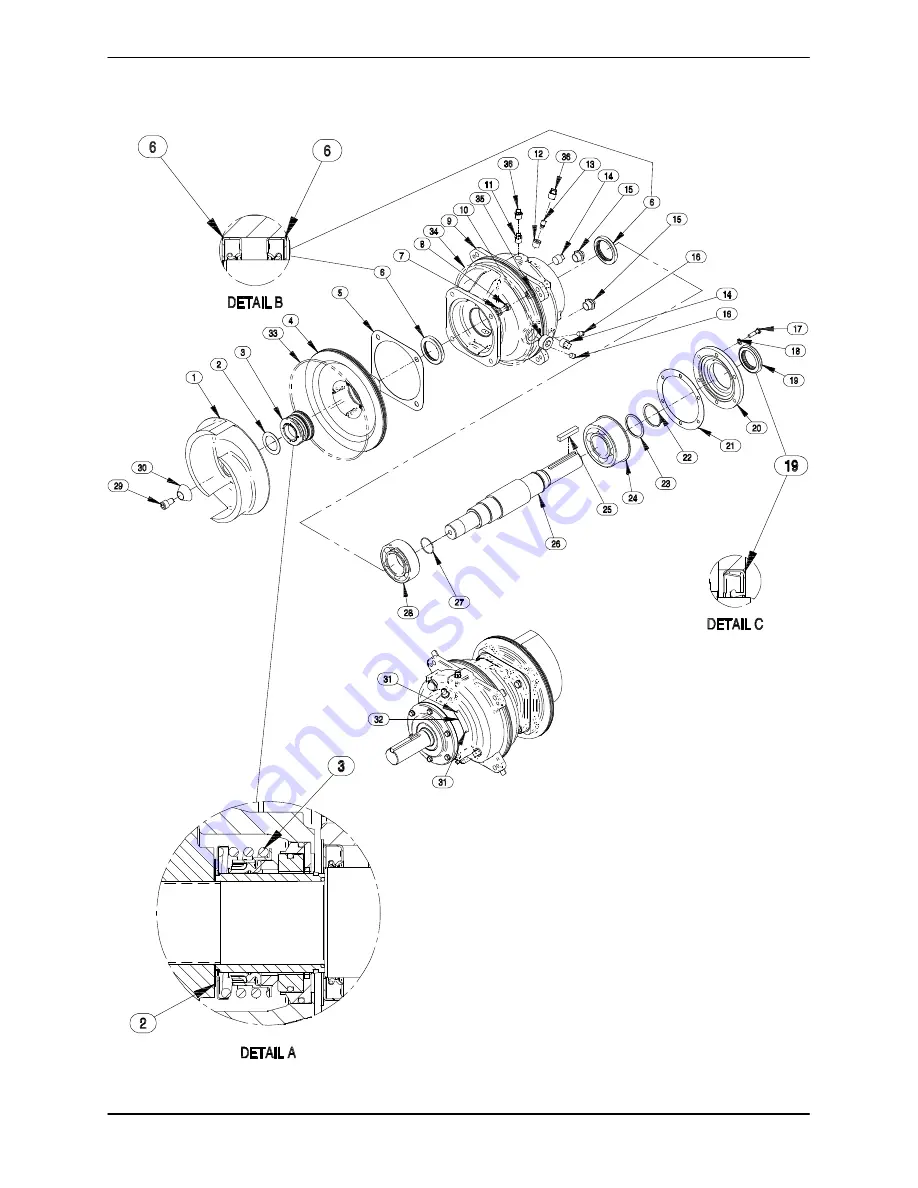 GORMAN-RUPP PUMPS 46146-041 Скачать руководство пользователя страница 32