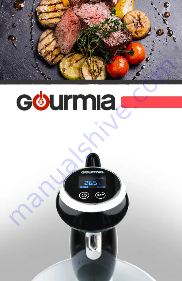 Gourmia GSV 130T Скачать руководство пользователя страница 1