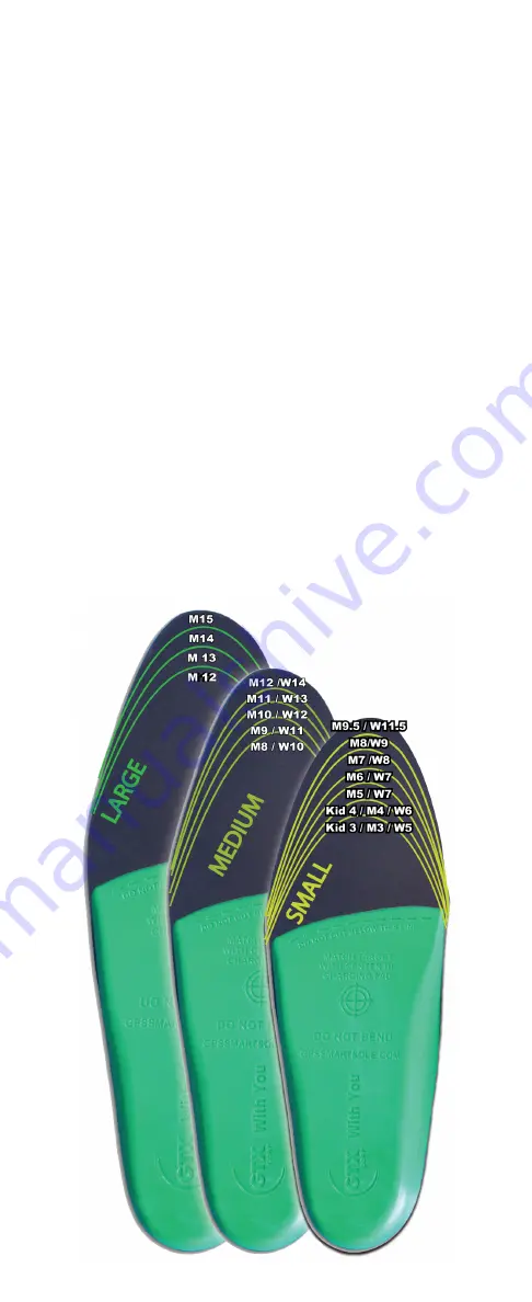 GPS SmartSole GTX-GSS-01 Скачать руководство пользователя страница 4