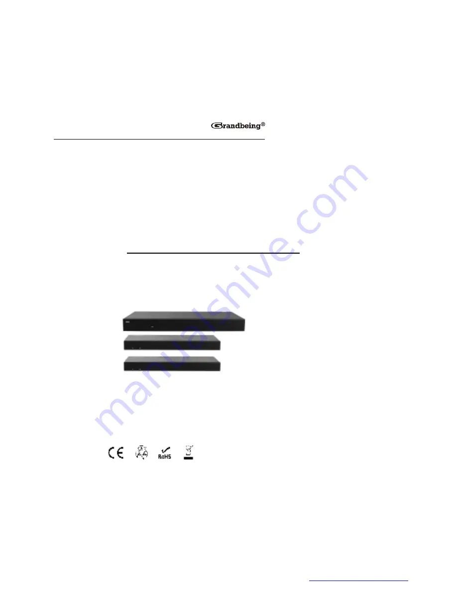 Grandbeing N363 User Manual Download Page 1