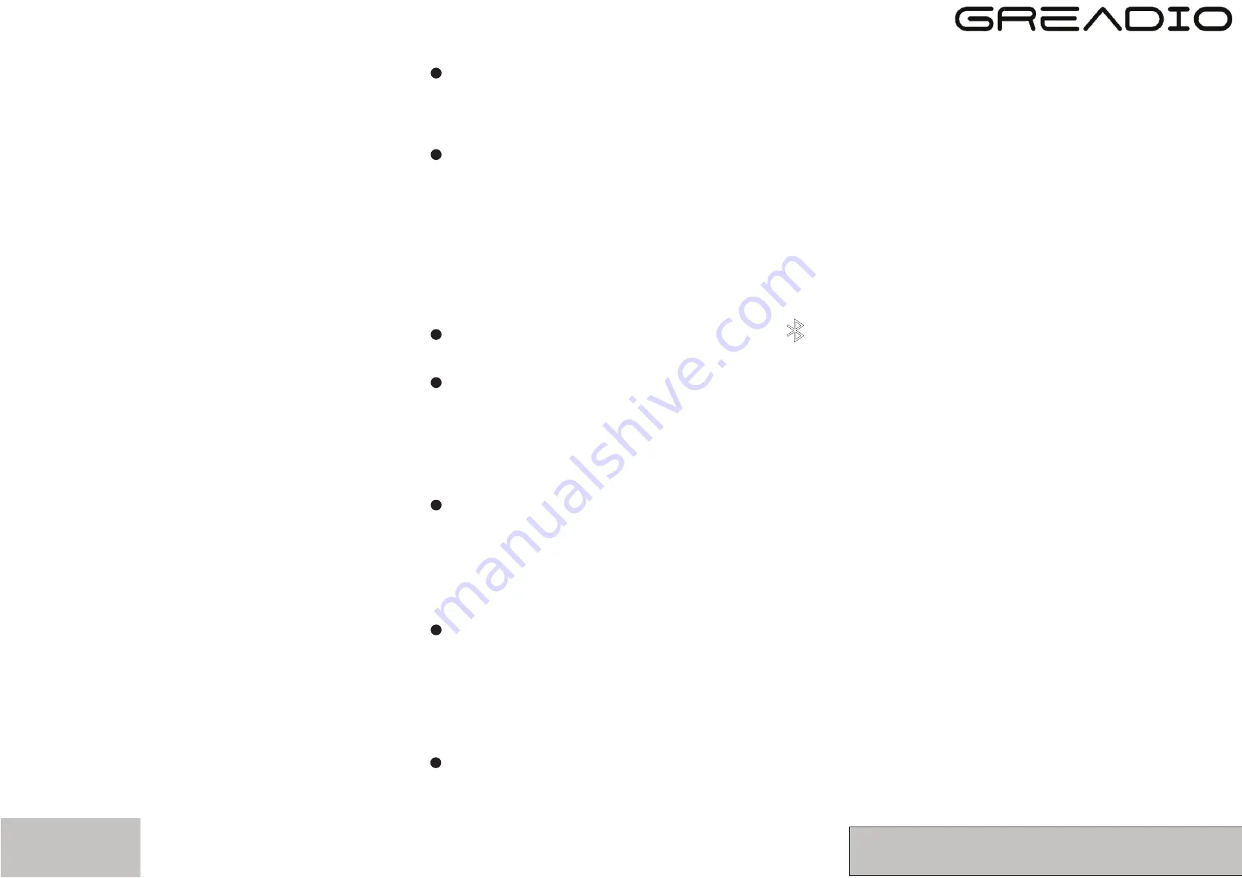 GREADIO R-919 User Manual Download Page 3