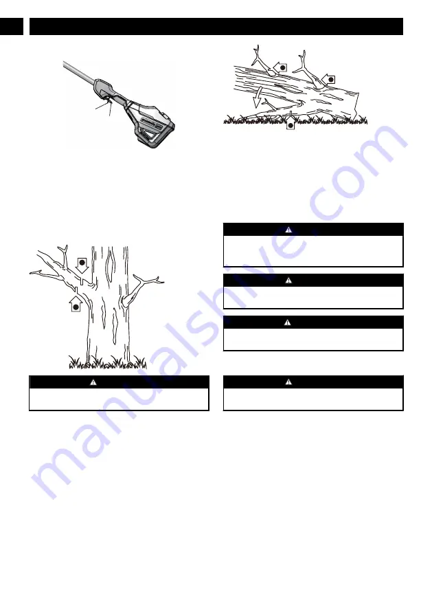 GreenWorks Pro 1406802CT Operator'S Manual Download Page 10