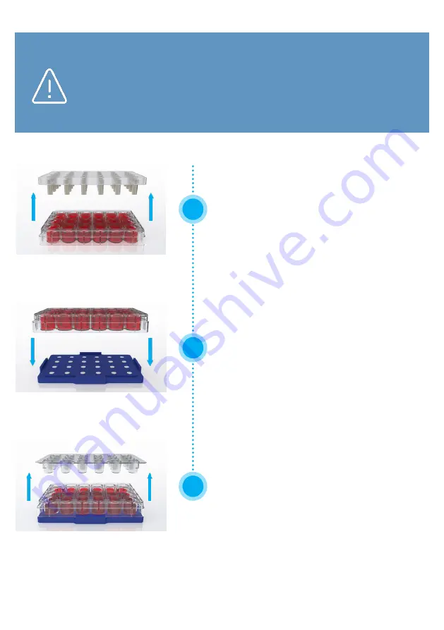 GREINER 657824 Instructions For Use Manual Download Page 6