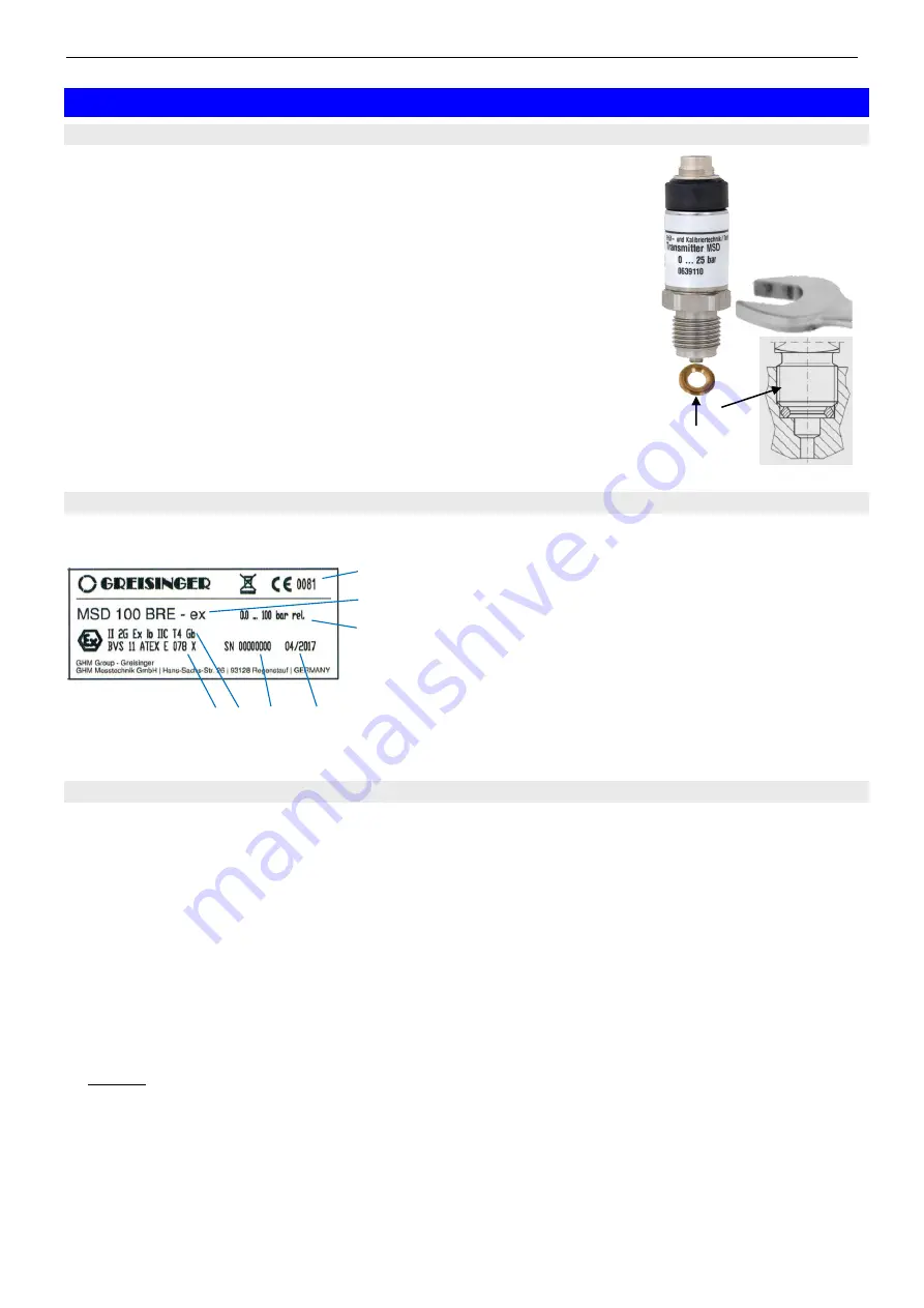 GREISINGER MSD-ex Series Скачать руководство пользователя страница 4