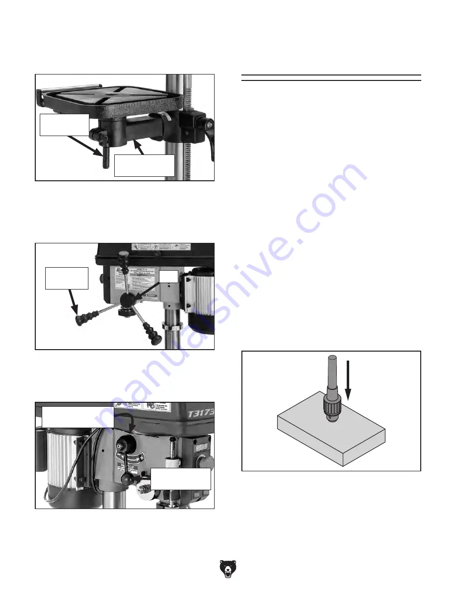 Grizzly T31739 Owner'S Manual Download Page 20