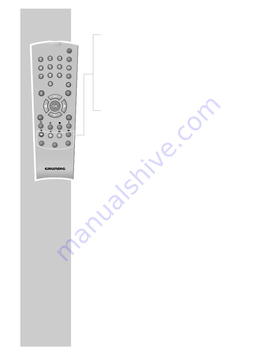 Grundig APOLLO 42 PW 110-7505 TOP Скачать руководство пользователя страница 10