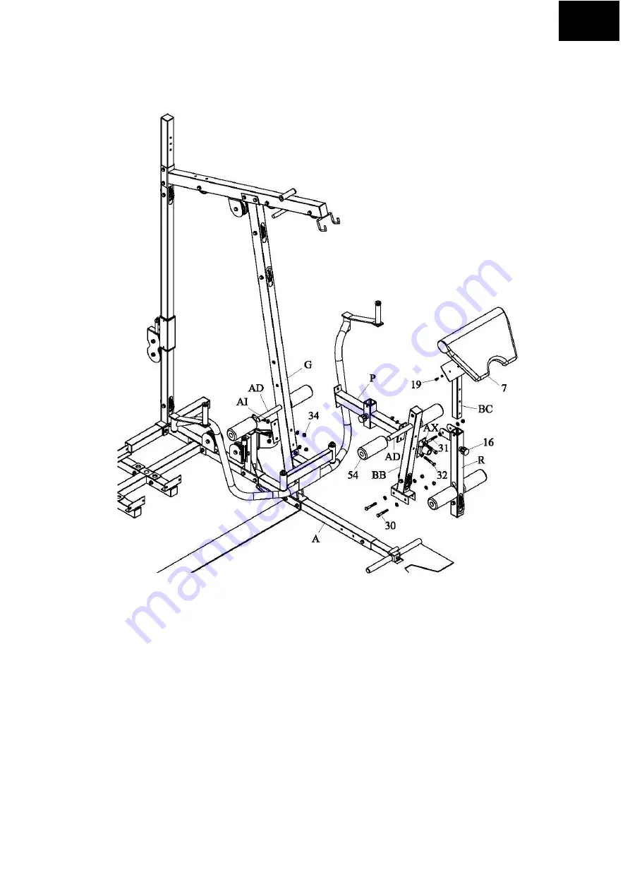 Gym Master MORFEUS User Manual Download Page 49