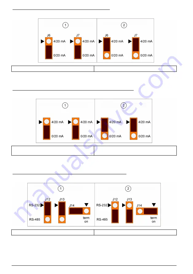 Hach ORBISPHERE 366 Series Basic User Manual Download Page 80