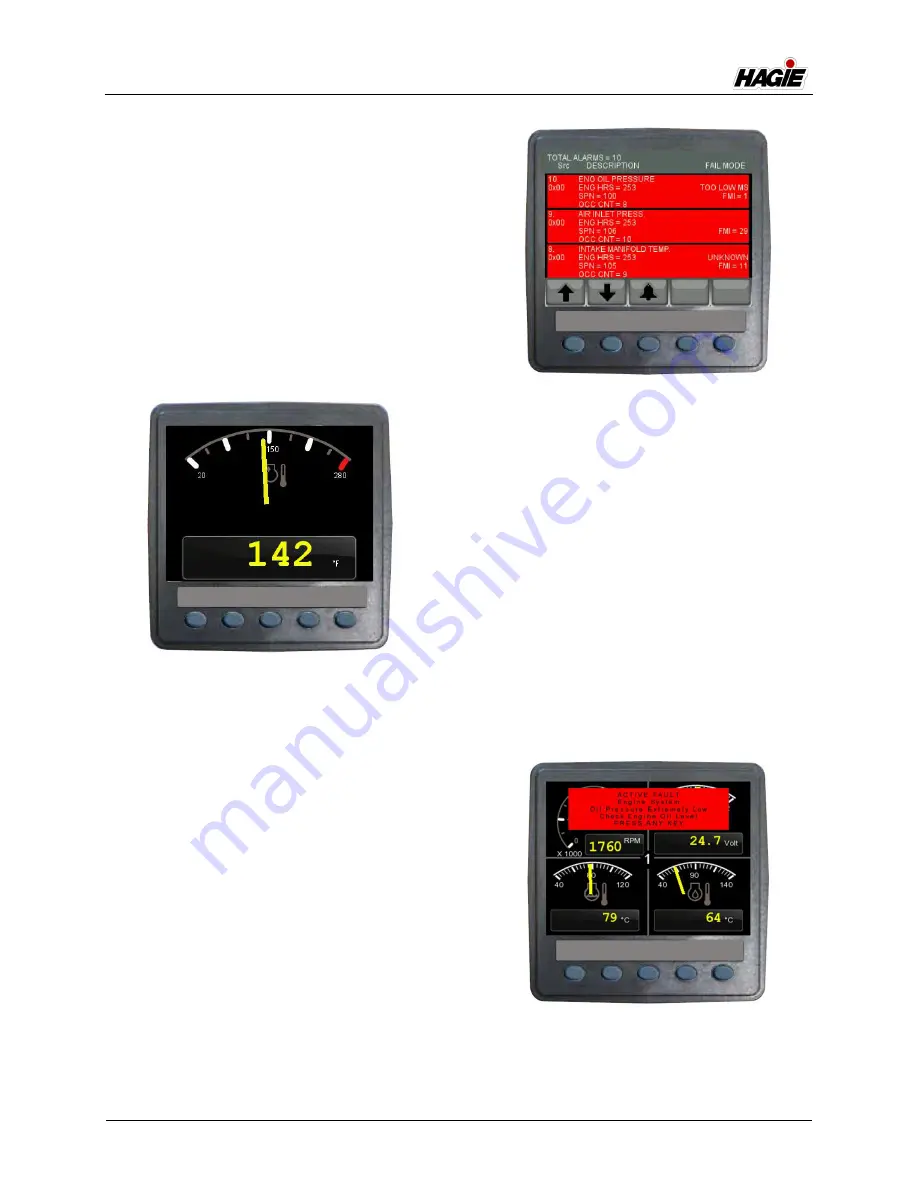 Hagie 204SP Operator'S Manual Download Page 42