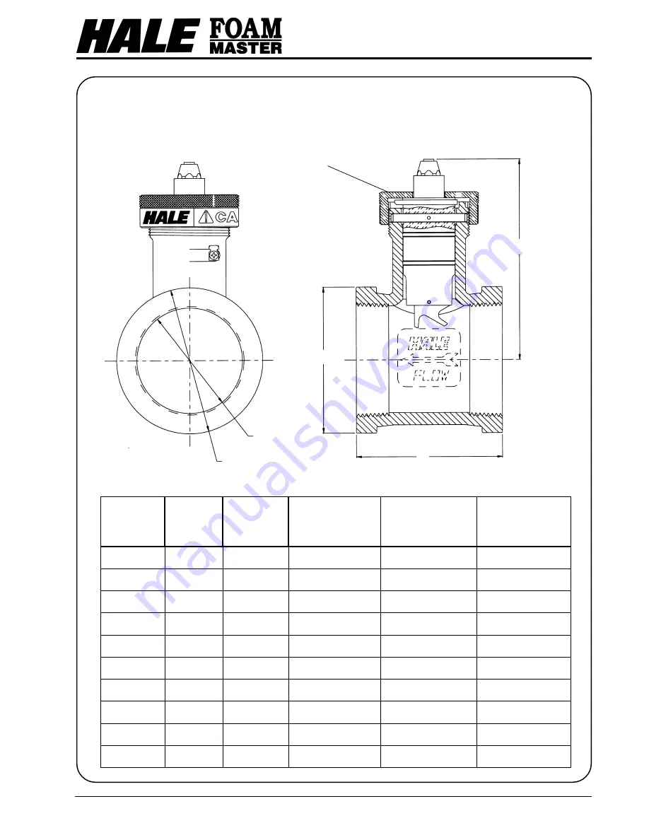 HALE FOAM MASTER 3.3 Description, Installation And Operation Manual Download Page 16