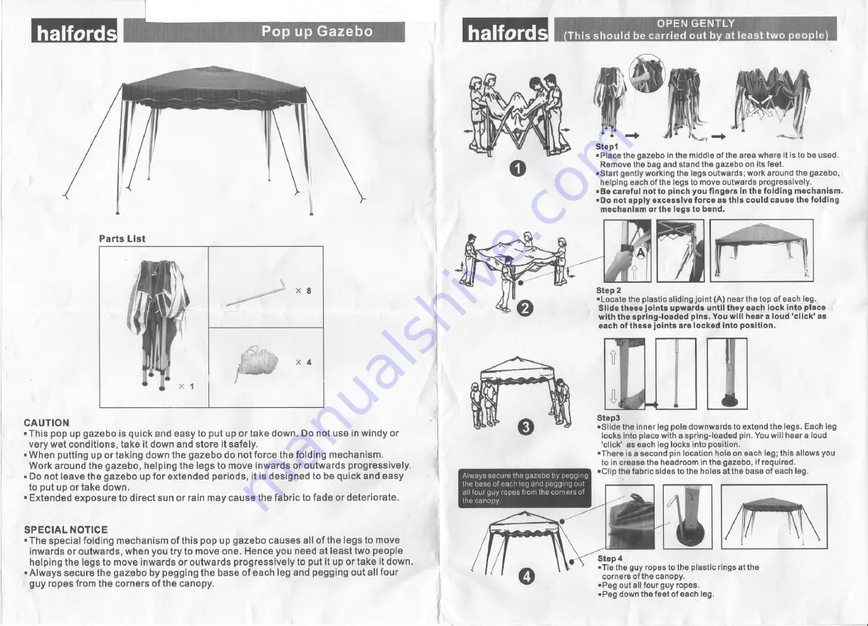 Halfords 170145-0 Manual Download Page 1