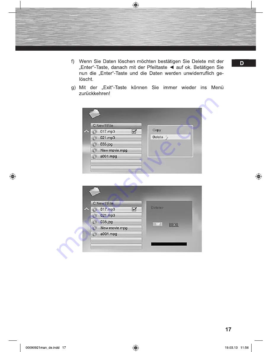 Hama 00090921-V2.5 Operating Instructions Manual Download Page 17