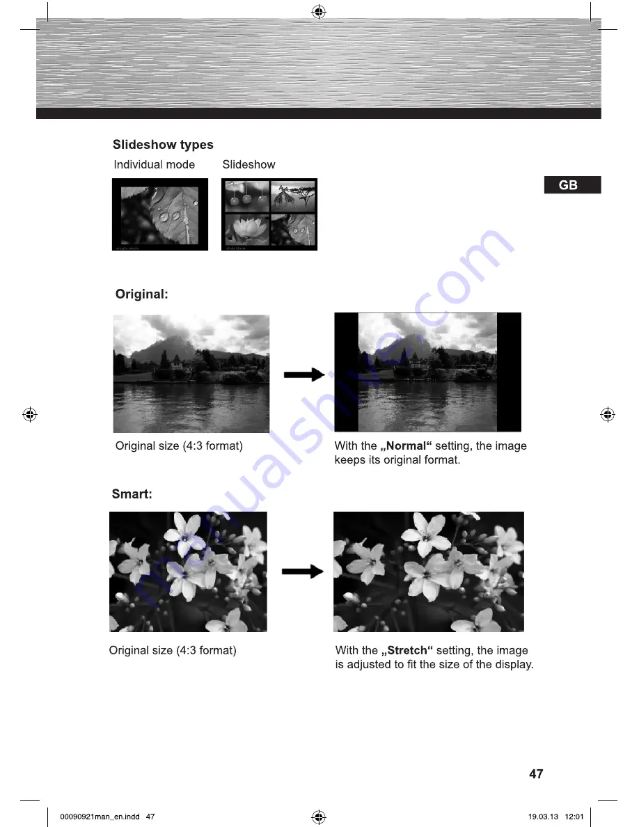 Hama 00090921-V2.5 Operating Instructions Manual Download Page 47