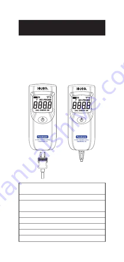 Hanna Instruments Foodcare HI 93501 Instruction Manual Download Page 6