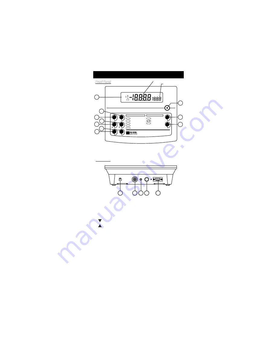 Hanna Instruments HI 253 Instruction Manual Download Page 4