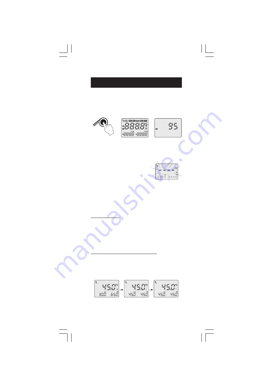 Hanna Instruments HI 93542 Instruction Manual Download Page 10