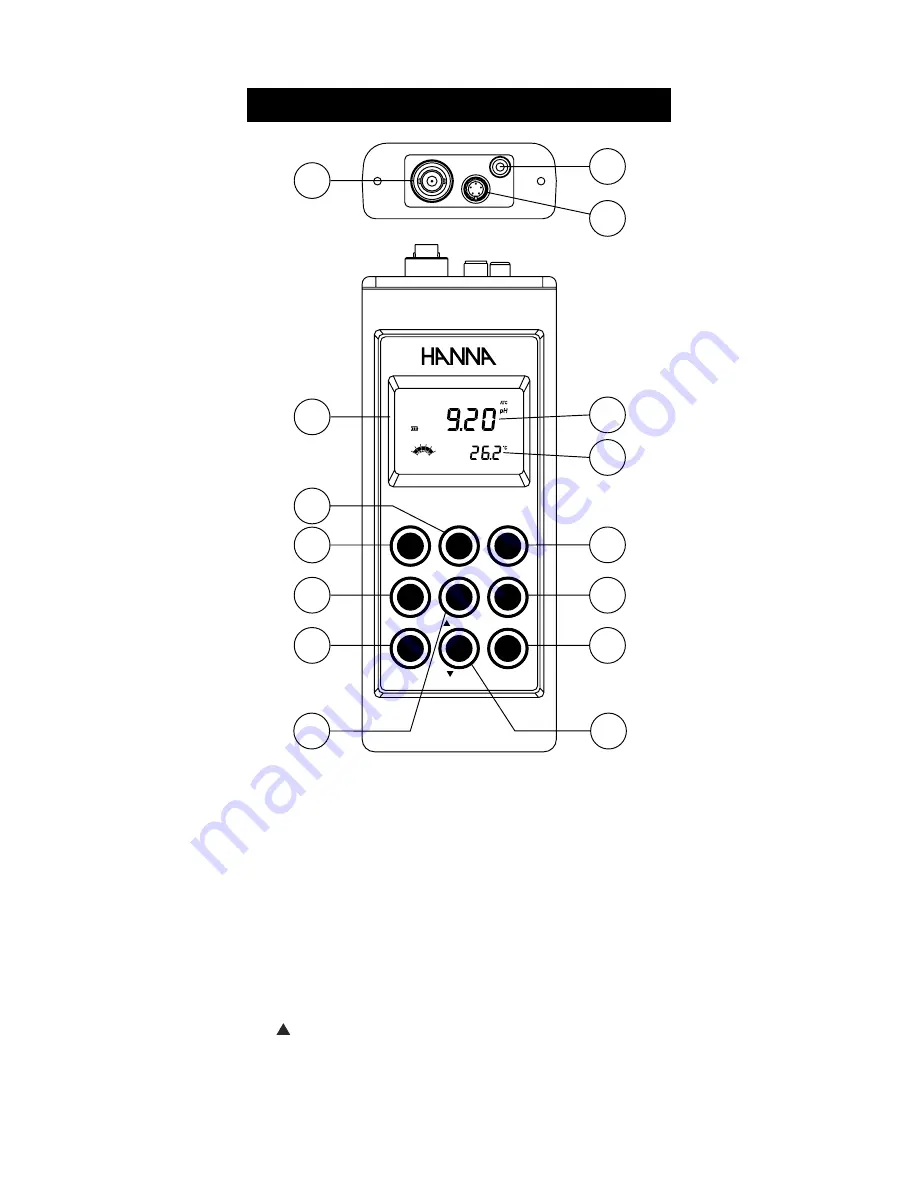 Hanna Instruments HI 98171 Instruction Manual Download Page 5