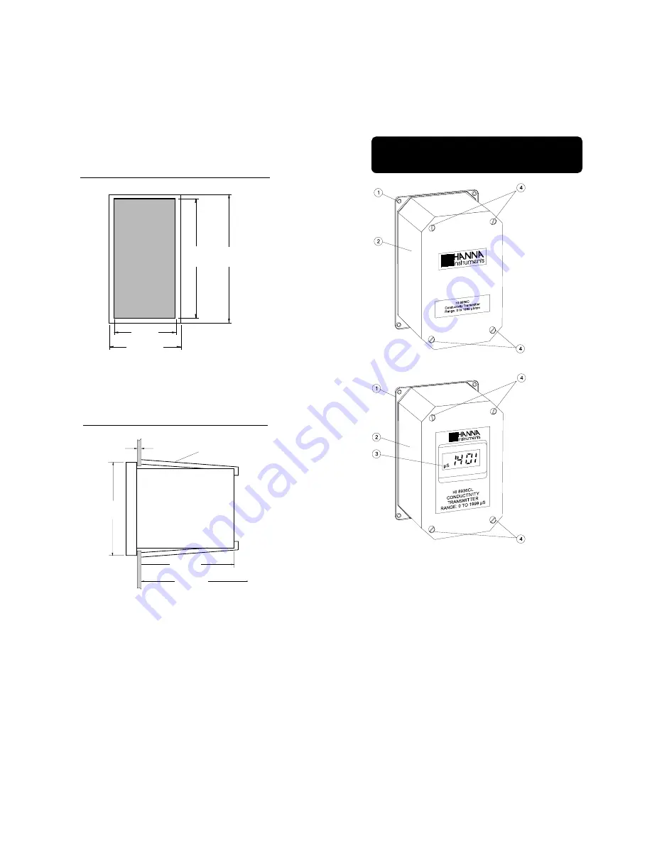 Hanna Instruments HI8931A Instruction Manual Download Page 5