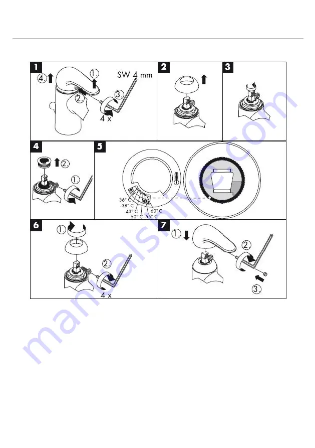 Hans Grohe Focus 31714 Assembly Instructions Manual Download Page 17