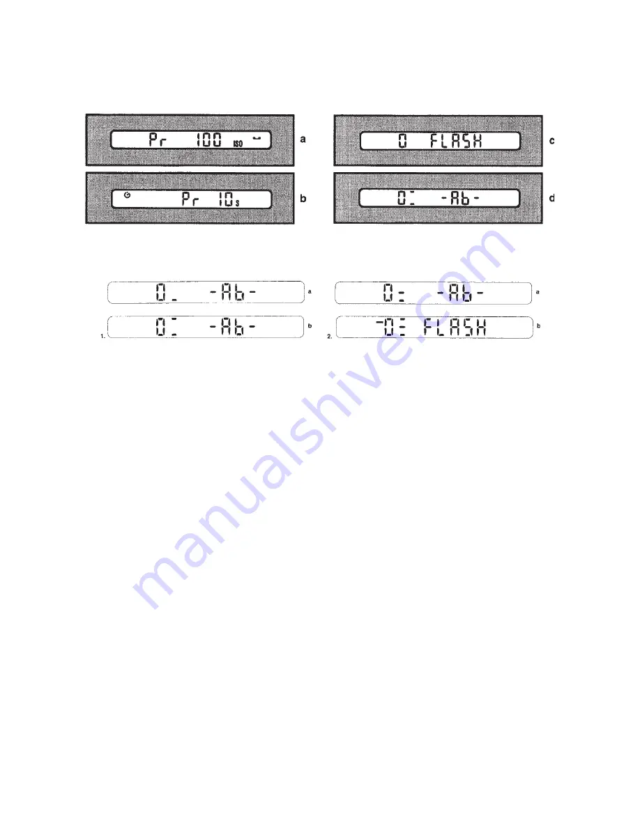 Hasselblad Digital Camera Manual Download Page 223