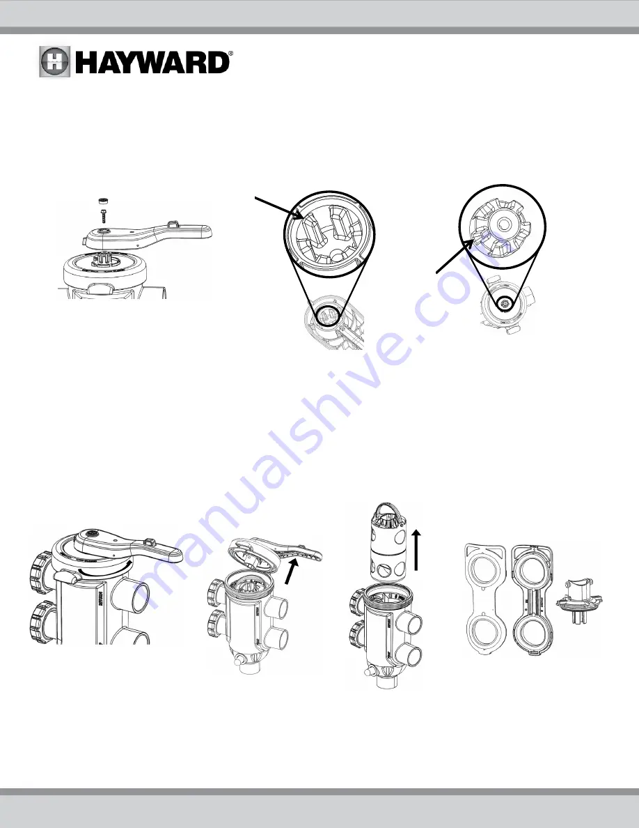 Hayward SelectaFlo SP0425 Скачать руководство пользователя страница 5