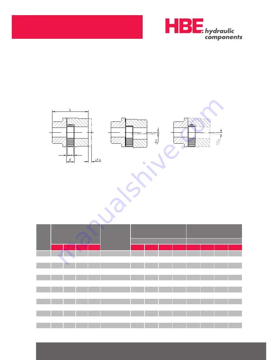 HBE SOFTEX Operating And Mounting Instructions Manual Download Page 6