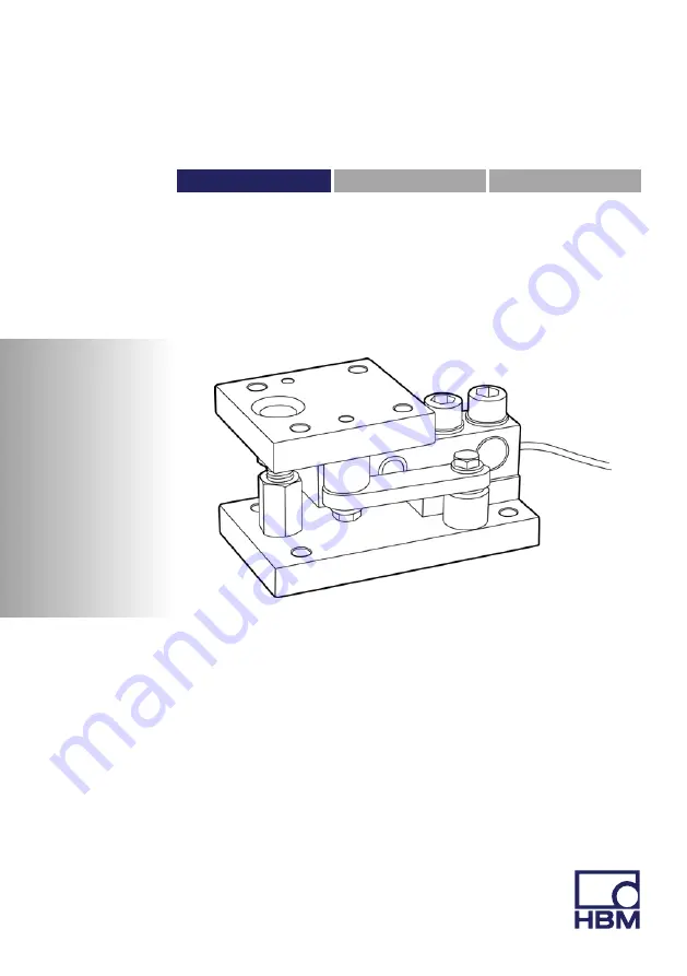 HBM HLCM Series Скачать руководство пользователя страница 3