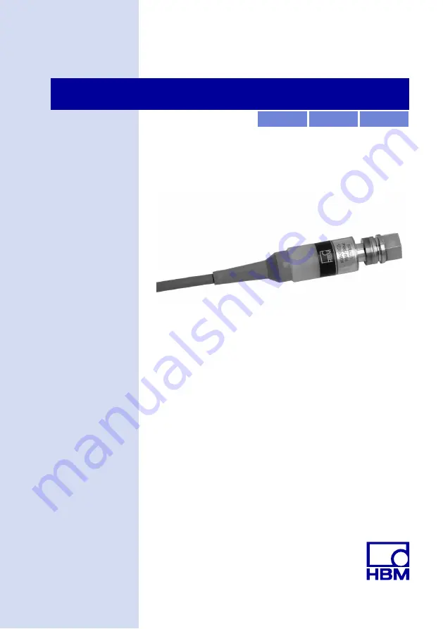 HBM P8WT Скачать руководство пользователя страница 1