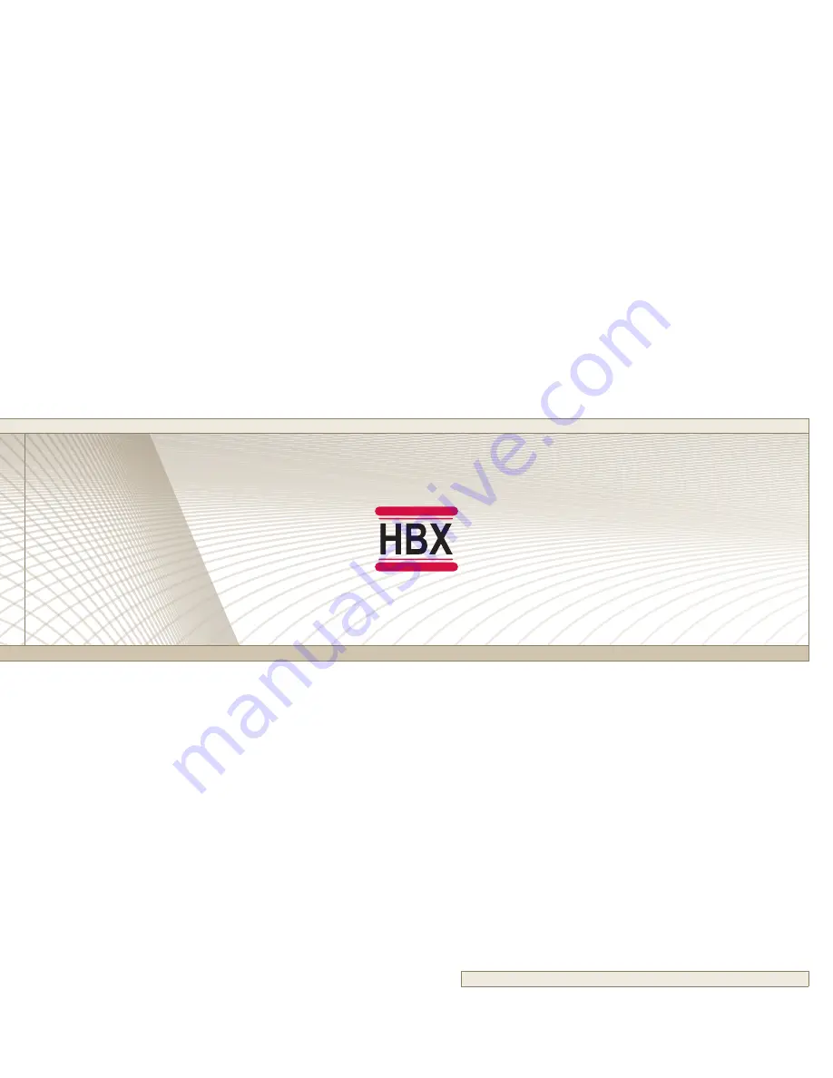 HBX ZON-0600 Скачать руководство пользователя страница 1