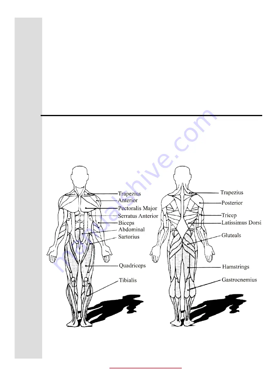 Healthstream HS12.2BK User Manual Download Page 15