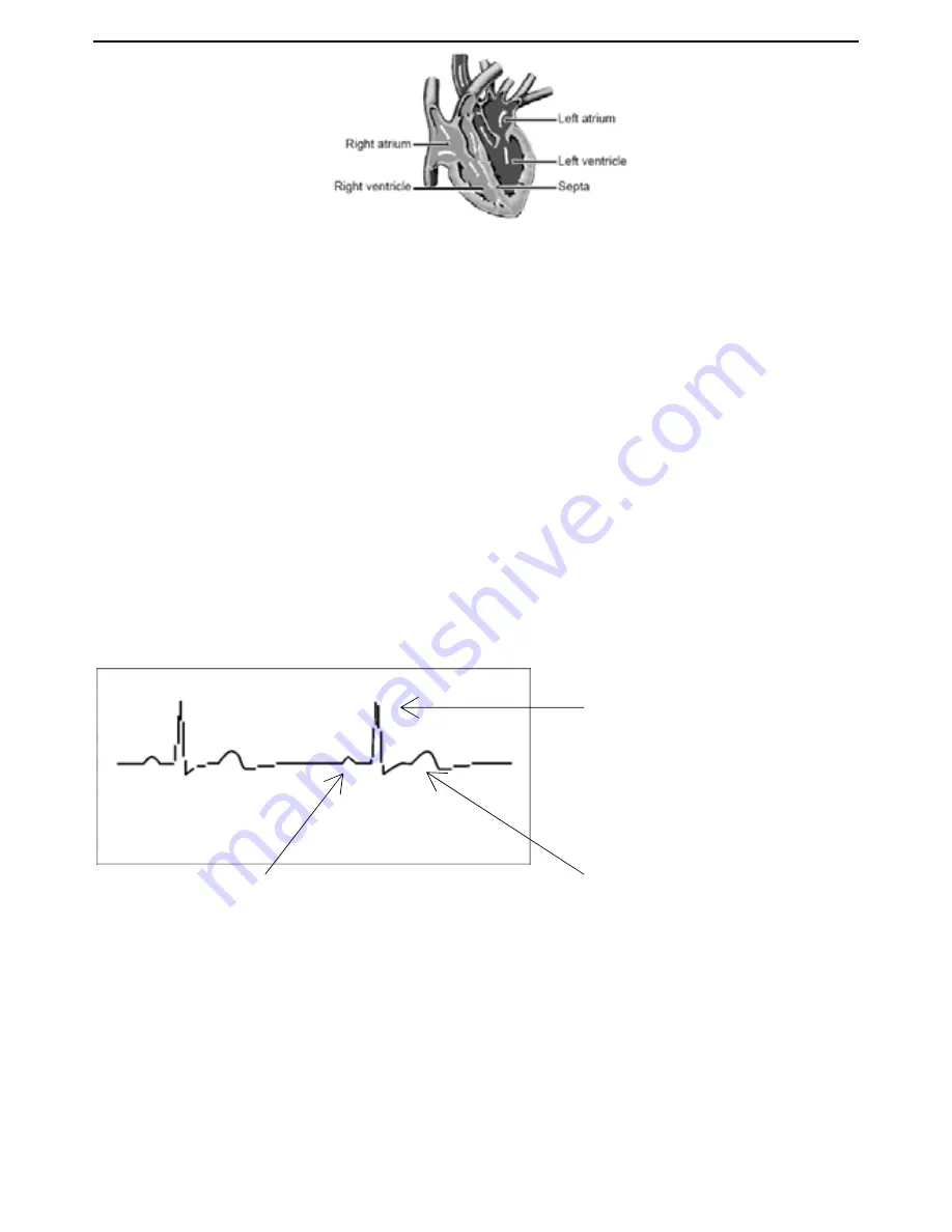 HeartCheck MD100B Скачать руководство пользователя страница 30