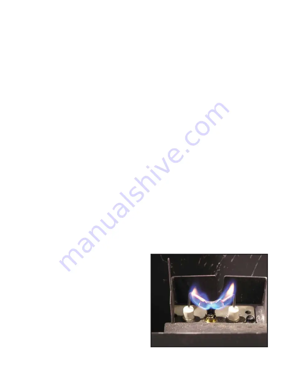 Hearth & Home BV4236DBI Скачать руководство пользователя страница 14