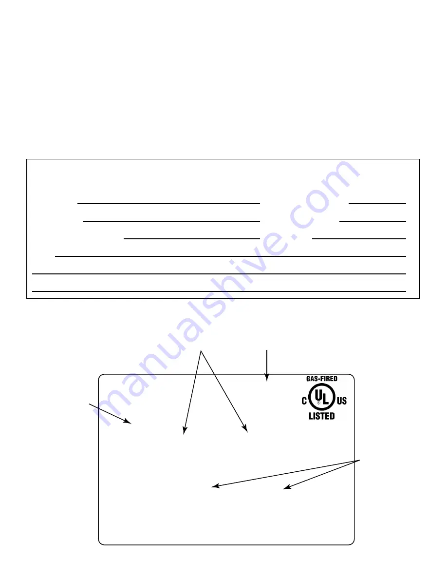 Heatilator ICON100IH Owner'S Manual Download Page 2