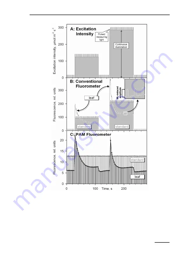 Heinz Walz JUNIOR PAM Operator'S Manual Download Page 13