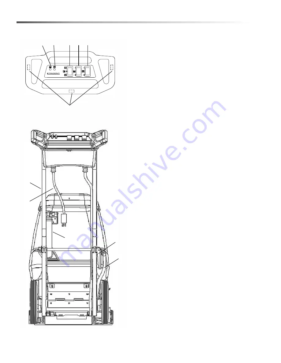 Hillyard Trident EX8 Скачать руководство пользователя страница 14