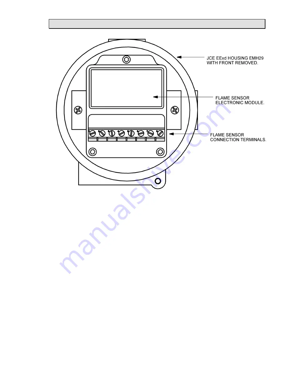 Hochiki IFD-E(Exd) User Manual Download Page 9