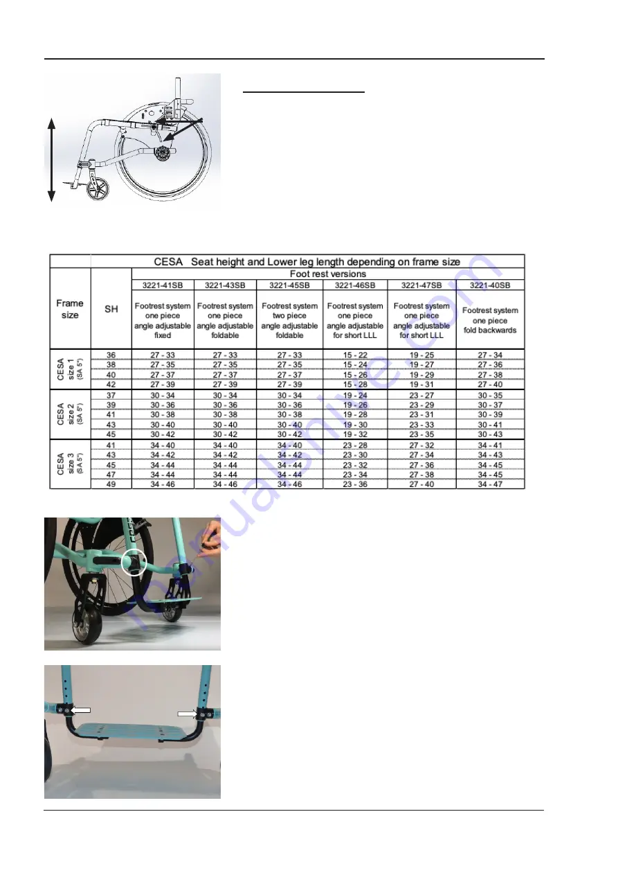 Hoggi Cesa Service Instructions Manual Download Page 14