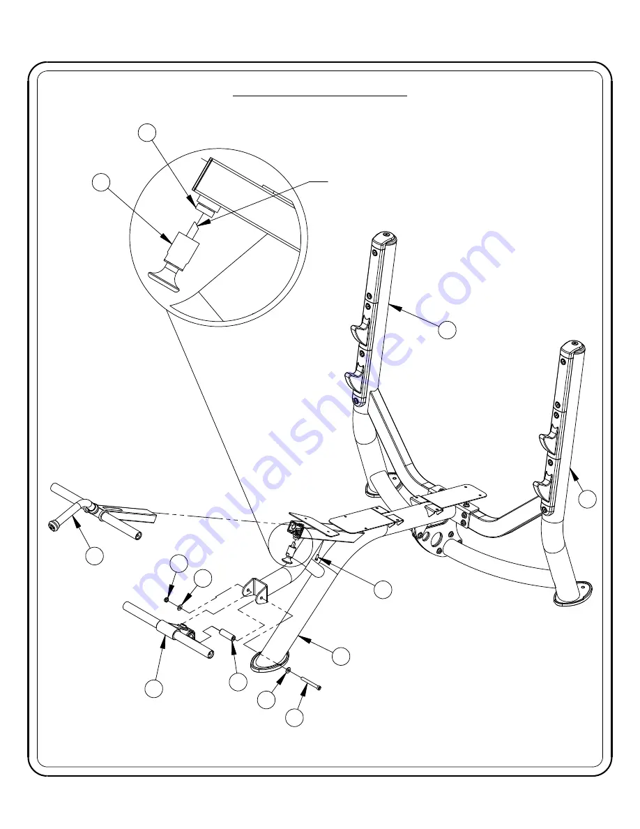 Hoist Fitness CF Commercial Freeweight CF-3177 Скачать руководство пользователя страница 8