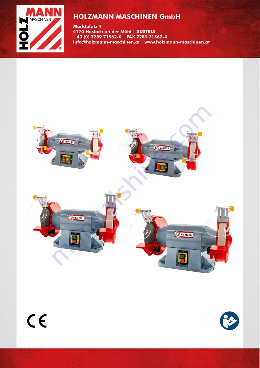 HOLZMANN MASCHINEN DSM 150 Скачать руководство пользователя страница 1