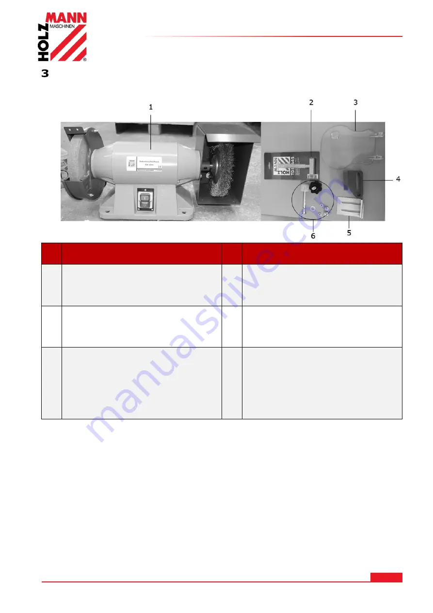 HOLZMANN MASCHINEN DSM200DS Скачать руководство пользователя страница 6