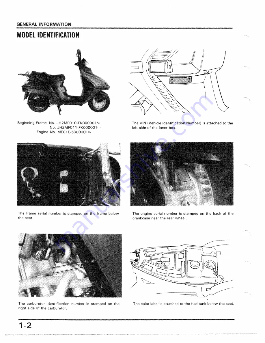 Honda 1986 CH250 Скачать руководство пользователя страница 3