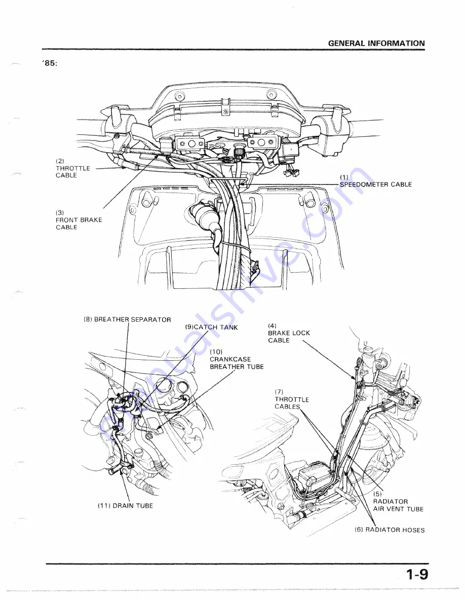 Honda 1986 CH250 Скачать руководство пользователя страница 10