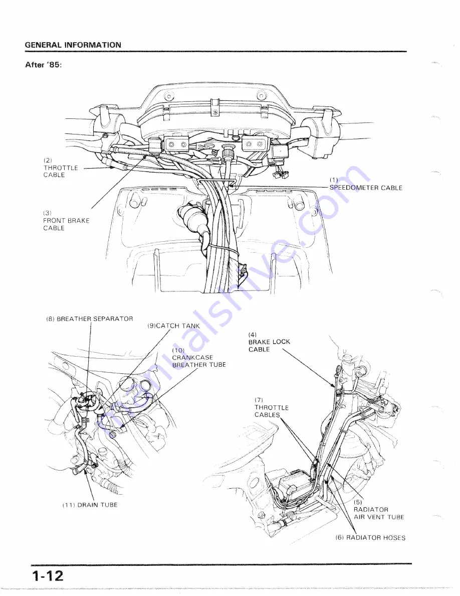 Honda 1986 CH250 Скачать руководство пользователя страница 13