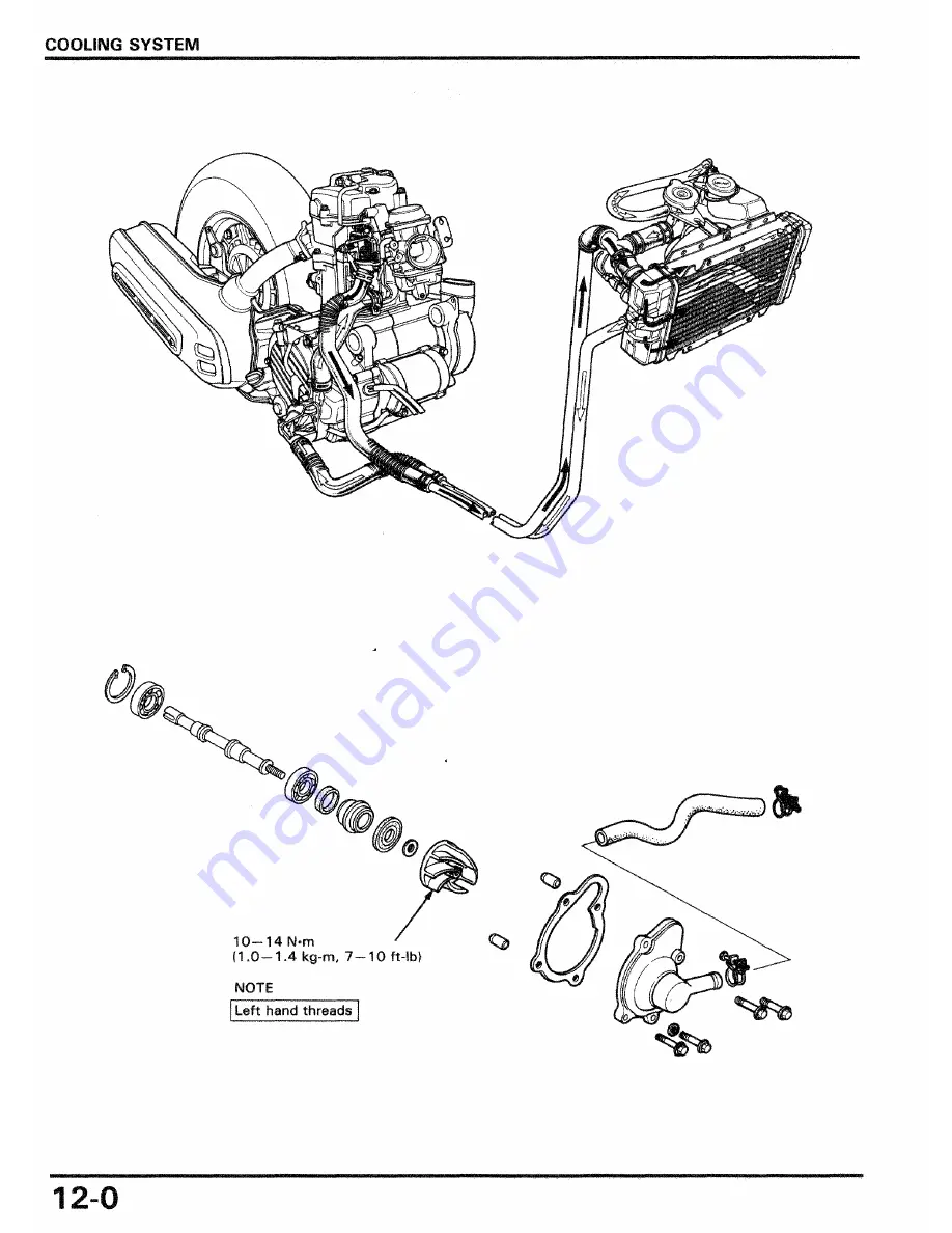 Honda 1986 CH250 Скачать руководство пользователя страница 131