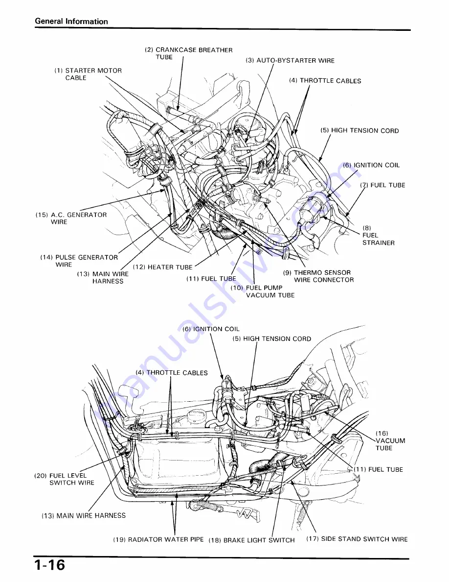 Honda 1989 Elite CH250 Скачать руководство пользователя страница 19