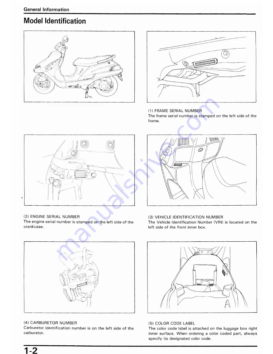 Honda CH250 1989 Скачать руководство пользователя страница 6