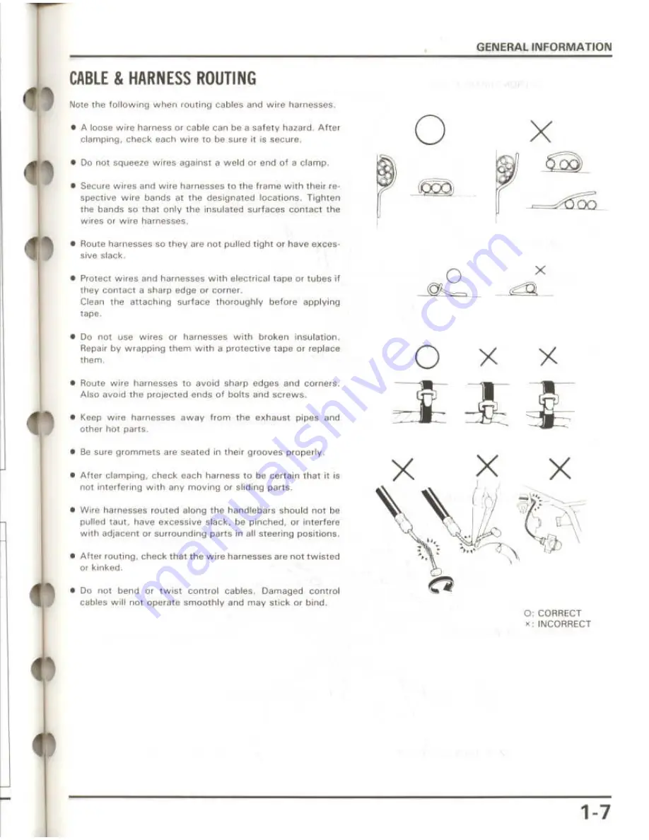 Honda Elite 50 LX Скачать руководство пользователя страница 9