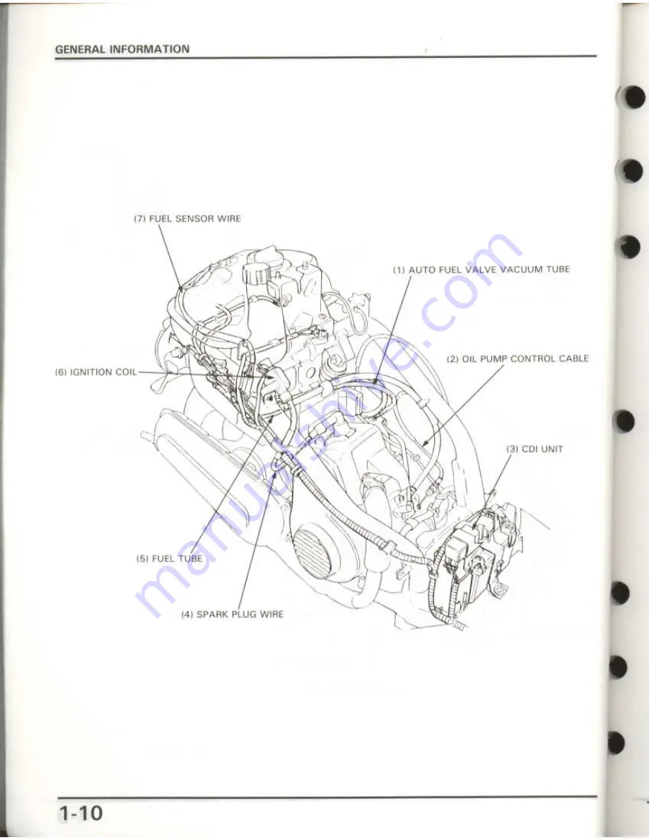 Honda Elite 50 LX Скачать руководство пользователя страница 12